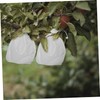 BESPORTBLE 100pcs Eco-Friendly Biodegradable Plant Grow Bags Fruit Mesh Bags