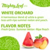 Mighty Leaf White Orchard White Tea – 100 Count Foil-Wrapped
