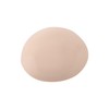 Chacott Liquid Foundation N 80ml 231