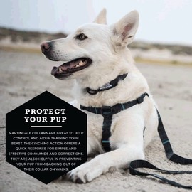 Wolfgang Premium Martingale Dog Collar for Medium Dogs, Durable & Easy to Clean Nylon Dog Collar with Quick Clip Buckles, for Training & Daily Use, Made in USA, NightOwl Print, (1 Inch x 14-18 Inch)