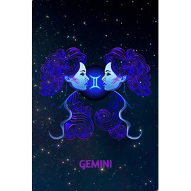 Gemini: Zodiac Star Sign Blank Line Notebook / Journal Gift (120 blank pages - 6 x 9)