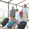 50 Pack Luggage Tags Suitcases PVC Travel Bag & Baggage