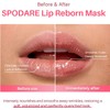 Spodare Strawberry Dual-color Lip Sleeping Mask