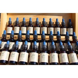 Kit Esencias Florales Bach Tinturas Madre Elegir