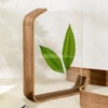 Elqater 8 Inch DIY Acrylic Wooden Photo Frame Herbarium Display