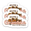 (3Pcs) Grandma Sticker, Grandma Decals, Being a Grandma Makes My