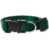 LupinePet Basics 1/2" Green 8-12" Adjustable Collar for Small Dogs