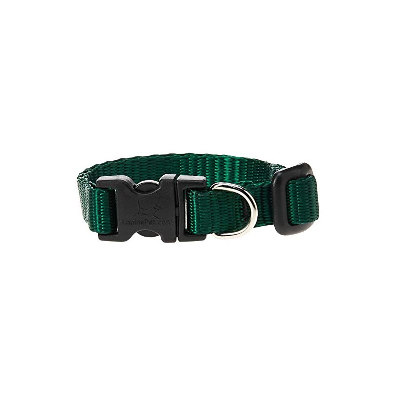 LupinePet Basics 1/2" Green 8-12" Adjustable Collar for Small Dogs