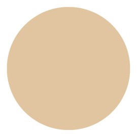 Kylie's Professional Mineral Goddess Concealer, Soft 5g