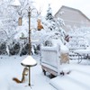 Bird Feeding Station Kit with Squirrel Baffle and Suet Cage
