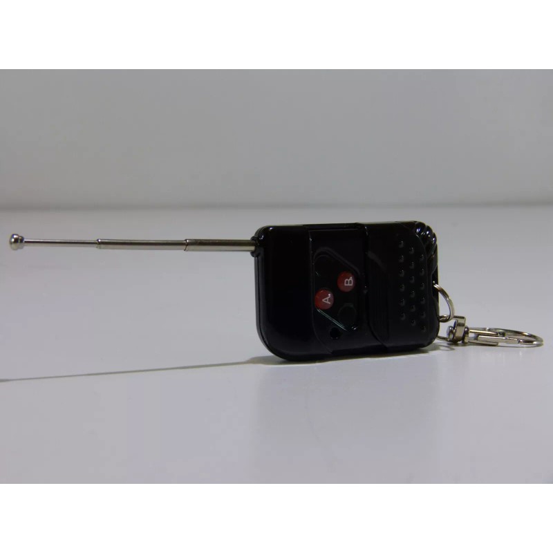 AGT 12V DC RF Wireless Remote Control & 2 Channel