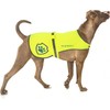 Reflective Dog Coat for Safety – Ideal Dog Vest for