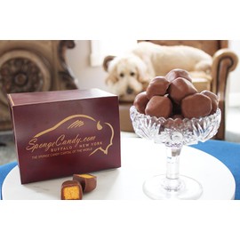 2-Pack - Chocolate Sponge Candy from the Sponge Candy Capital of the World, Buffalo New York! (Milk, Dark, Orange, Peanut Butter)… (Peanut Butter Dark Chocolate)