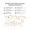 Ginger Powder – 100% Pure Ground Ginger Root, Non-GMO, Gluten-Free,
