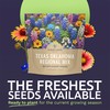 Texas Oklahoma Wildflower Seeds Mixture - Bulk 1 Ounce Packet