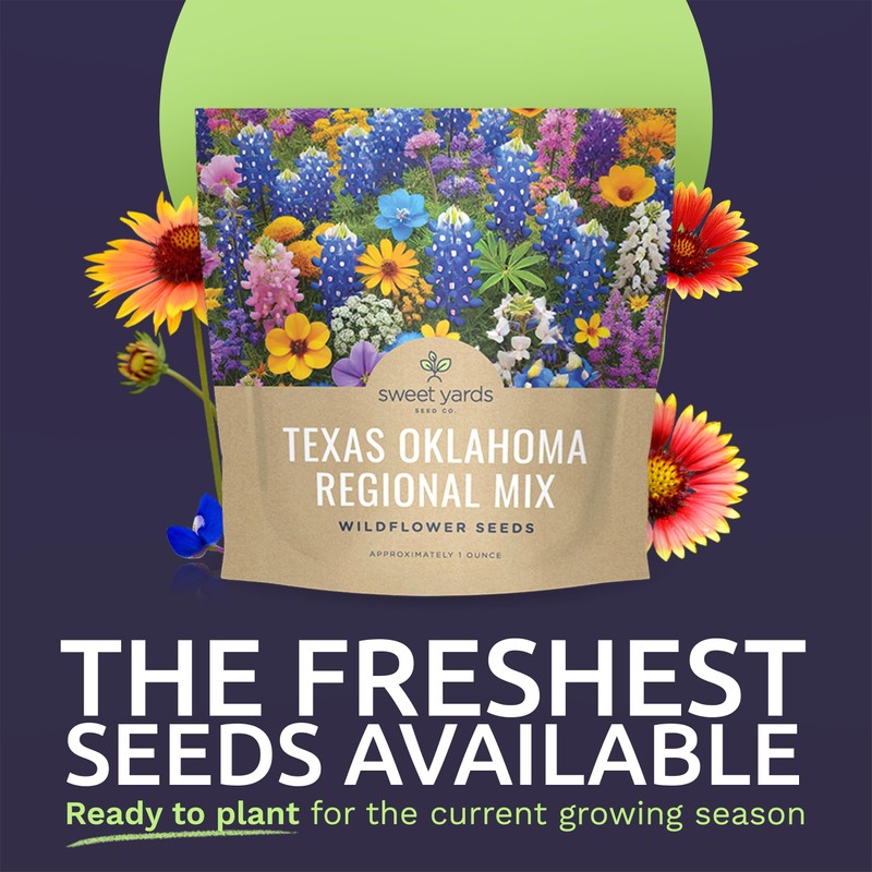 Texas Oklahoma Wildflower Seeds Mixture - Bulk 1 Ounce Packet