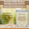 Moringa Seeds Kernel Shelled 8 oz. - Clean PKM1 Variety