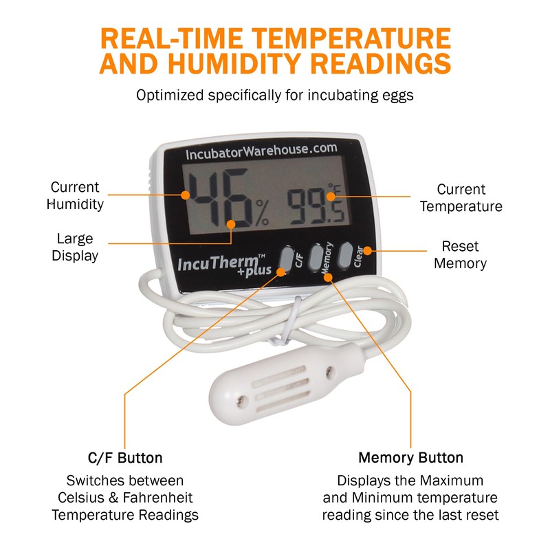 Incubator Warehouse IncuTherm™ Plus Digital Thermometer and Hygrometer for Egg