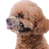 Mayerzon Dog Muzzle, Basket Muzzle for Small Medium Dogs Poodle