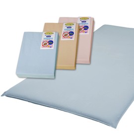 Manufacturer Direct Sales Mite Resistant Futon Cover (Plain) Dust Mite Block [Super Guard II] Single 41.3 x 84.6 inches (105 x 215 cm) Blue