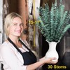 FUKUOKA Bulk Package 30 PCS Real Dried Eucalyptus Plant Large