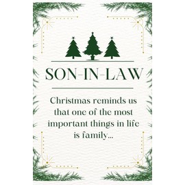 Merry Christmas Son in Law Greeting Card - One of The Most Important Things in Life is Family