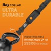 Weenect Dog XT - NEW GPS Collar for Dogs |