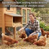 MAQIHAN 15oz Chicken Nesting Herbs - Dried Herbs for Laying