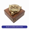 Calyron Bussola Sundial in ottone con scatola di legno, design