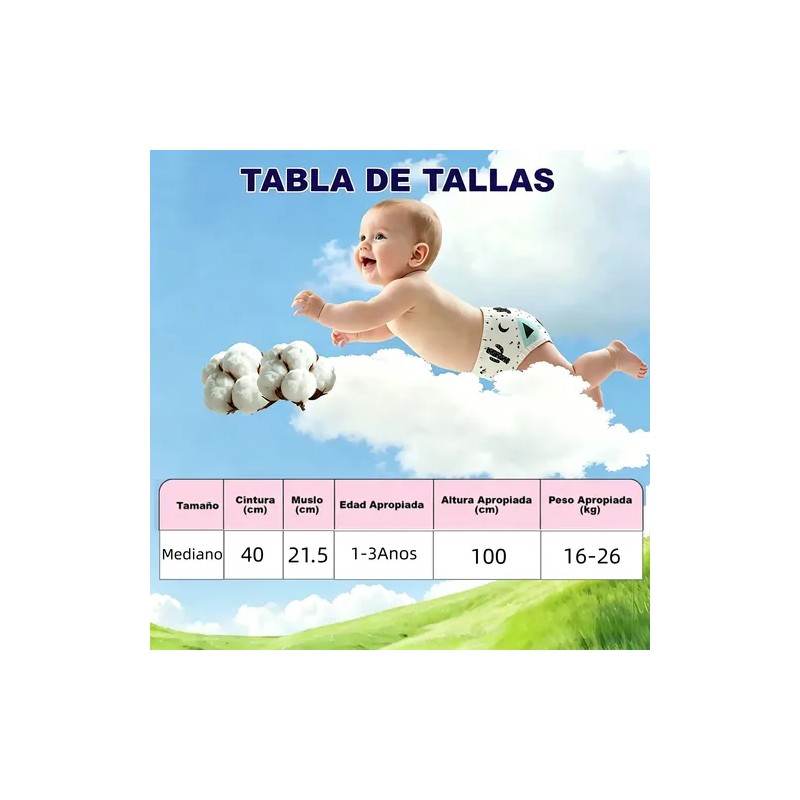 6 Calzones Entrenadores Reutilizables Panales Ecologico/algo