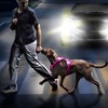 Domagiker Led Dog Harness Adjustable(Pink, S)