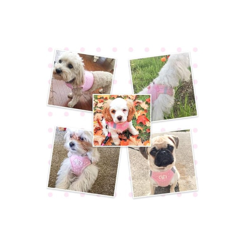 BINGPET BB5004 Polka Dot Soft Vest Dog Puppy Pet Harness