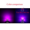 PA LED 2x PURPLE 3157 3156 13 5050 SMD LED