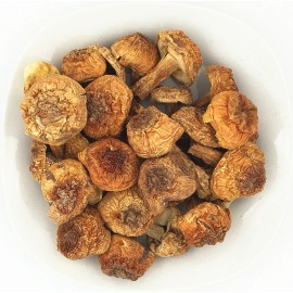 Greenlike Top GradeNatural Dried Almond Mushroom Agaricus Blazei Jisongrong   - 2oz