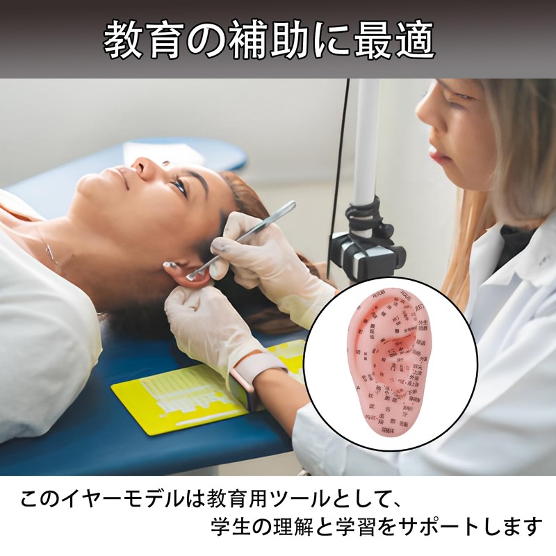 ピュアシーク 6個セット 耳鍼モデル 耳つぼモデル 医療器具 耳マッサージ 鍼モデル つぼモデル PVC 耳