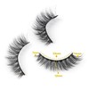 JIMIRE 10 Pairs Fake Eyelashes Fluffy Natural False Lashes Cat-Eye