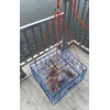 AirFly 4 Arm Harness for Crab Trap with 304 Stainless