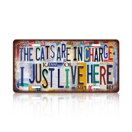 Vintage Cat Metal Tin Sign License Plate Wall Decor for Home Cat Lover 12 x 6 Inches - The Cats Are In Charge I Just Live Here