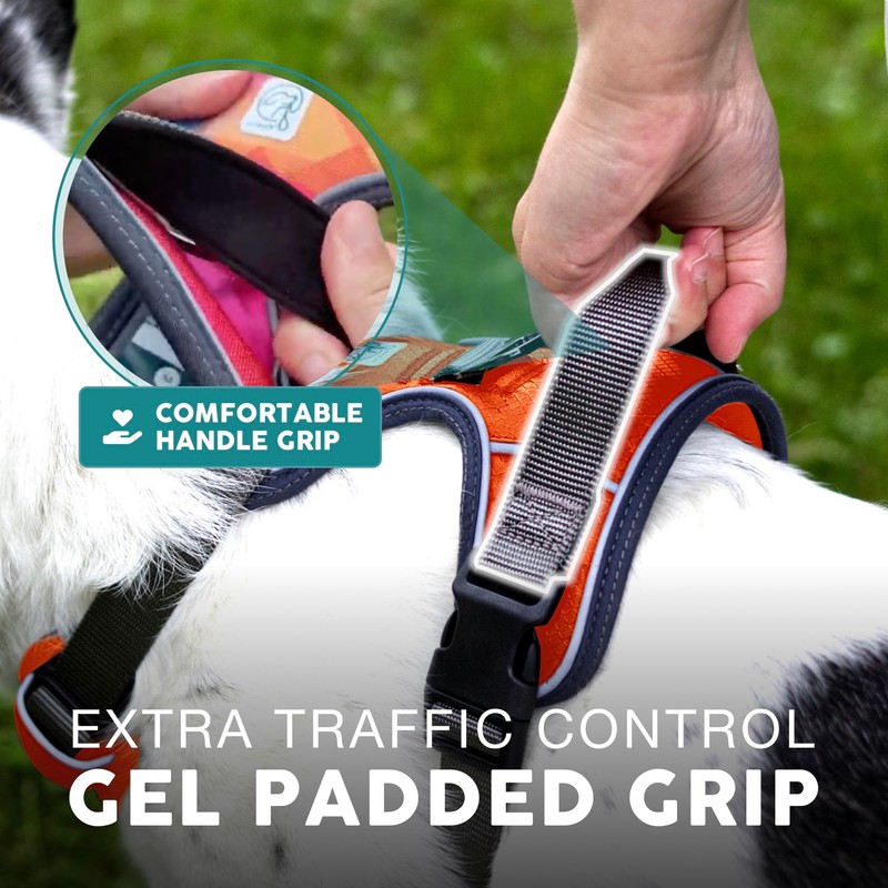 Embark dog harness, adjustable size, without choke, large, Orange