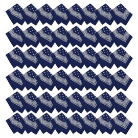 Winterlace 48 Pack Bandanas, Unisex One-Sided Print Paisley Retro Head Wrap Necktie Face Cover Bulk