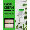 D_AEVUE Diebu Tool (Casal Cream) Casal Cream 100ml / 디에뷰