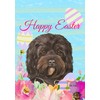 Cavapoo Black - Best of Breed - HHS Easter House