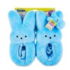 Peeps Slippers Easter Peep Slipper Blue Slipper with Wrist Bunny