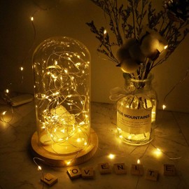 LoveNite 16 Pack Battery Operated 30 LED Starry String Lights, 10ft Fairy Lights Silver Wire Colorful Waterproof Mini Firefly String Lights for DIY, Party, Decor, Christmas, Wedding (Warm White)