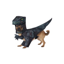 California Costumes Dog Pupasaurus Rex Costume Large