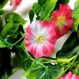 AirSun Artificial Morning Glory Flower Vines, 2pcs 15Feet Hanging Plants Silk Garland Fake Green Plant Home Garden Wall Fence Indoor Outdoor Wedding Birthday Decor