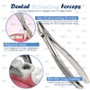 DDP EXTRACTING Forceps MD2 Upper 1ST 2ND and 3RD MOLARS