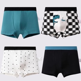 JackLoveBriefs Boys Cotton Boxer Briefs Dinosaur Polar Bear Toddler Kids Underwear 12 Pack, 9-11 Years, White, Size: XXL