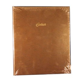 Dansco Stock Book Coin Album for 2 x 2 Holders #7000