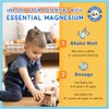 Kids Magnesium Gummies & Liquid Magnesium Glycinate Drops for Kids